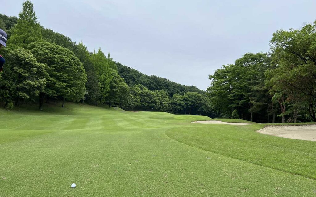 Par5 ボギー狙いはアリ?無理しないラウンド戦略とスコアメイク術【検証】