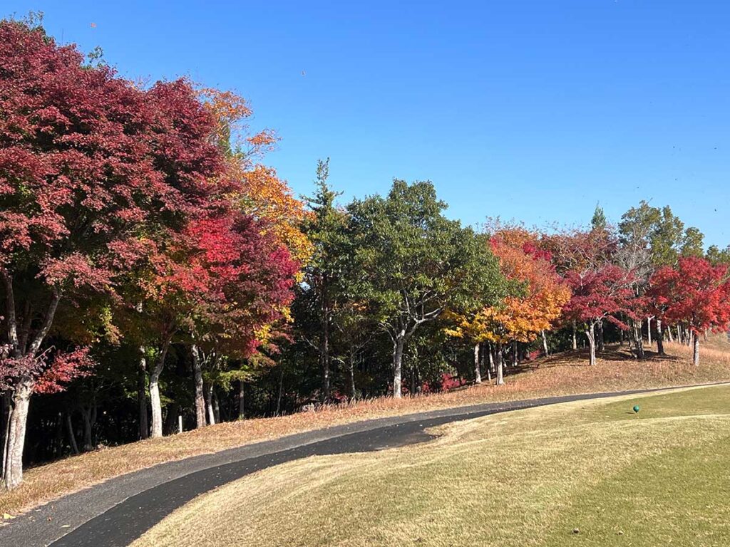 木更津東カントリークラブでのベストスコア75でまわれたポイントは!?