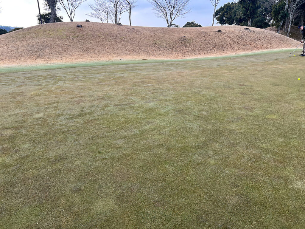 ハーフベストを達成!アベレージ85前後のアマチュアでもハーフアンダーが出せた!