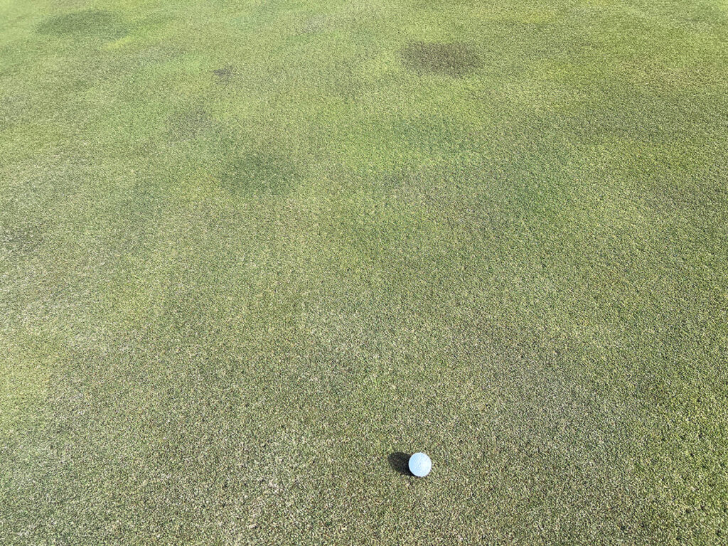 新君津ベルグリーンカントリー倶楽部での強風ラウンドはショットが安定せず苦戦