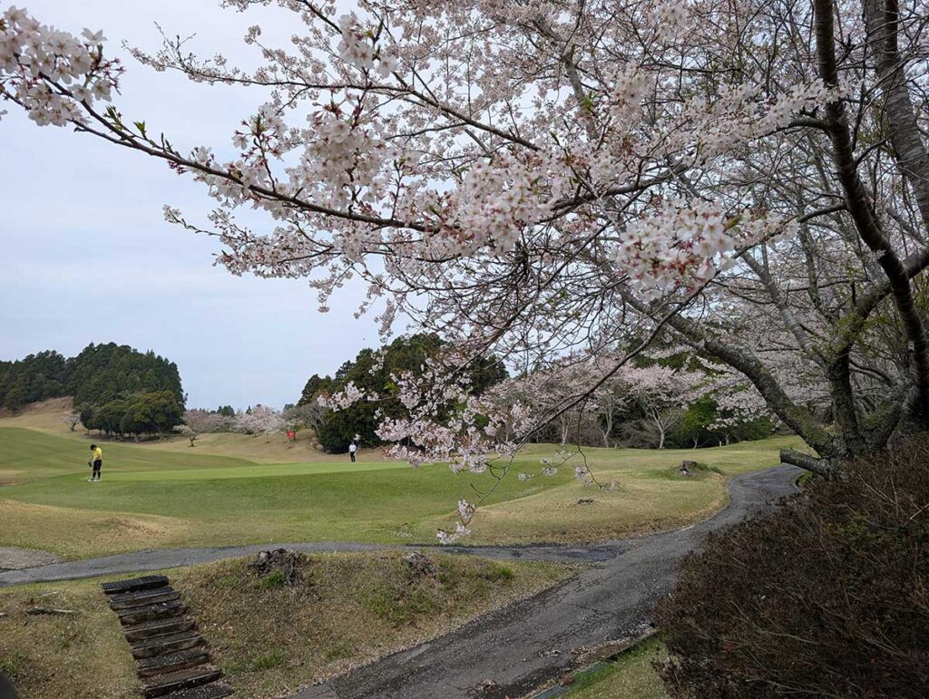 勝浦ゴルフ倶楽部の月例競技に挑戦!強風を読み切れずにショットが狂う展開
